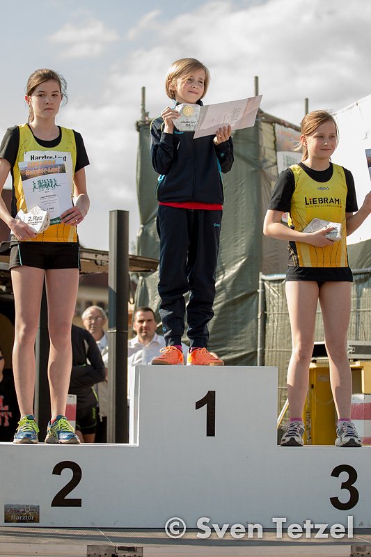 Voller Erfolg - 2. Harztor-Lauf