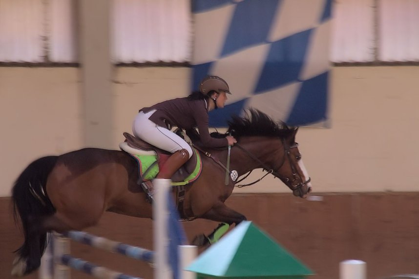 5. Hoffest und Reitturnier in Wollersleben