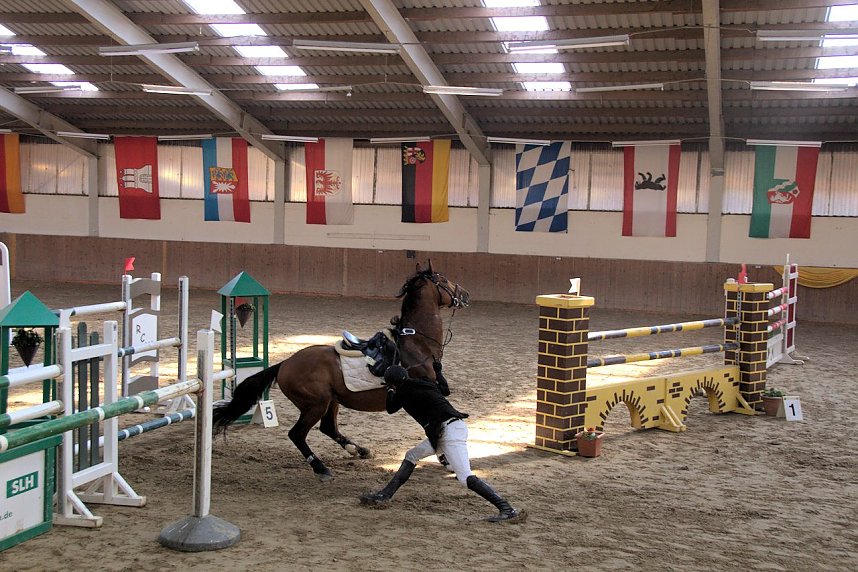 5. Hoffest und Reitturnier in Wollersleben