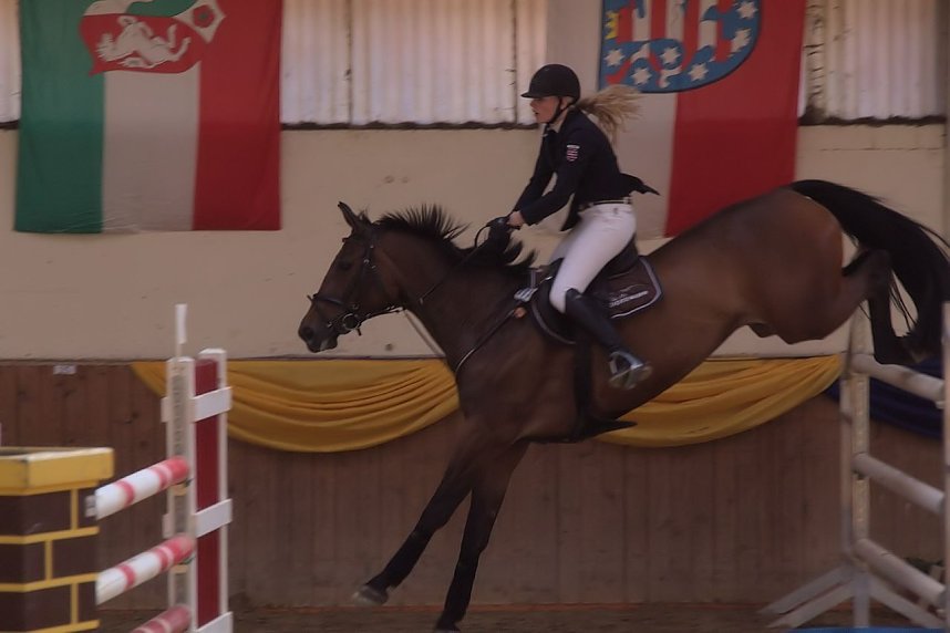 5. Hoffest und Reitturnier in Wollersleben