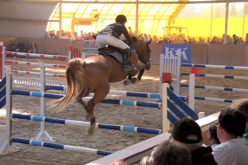 5. Hoffest und Reitturnier in Wollersleben