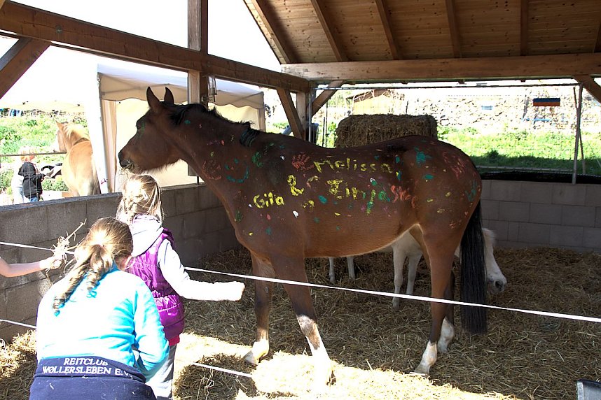 5. Hoffest und Reitturnier in Wollersleben