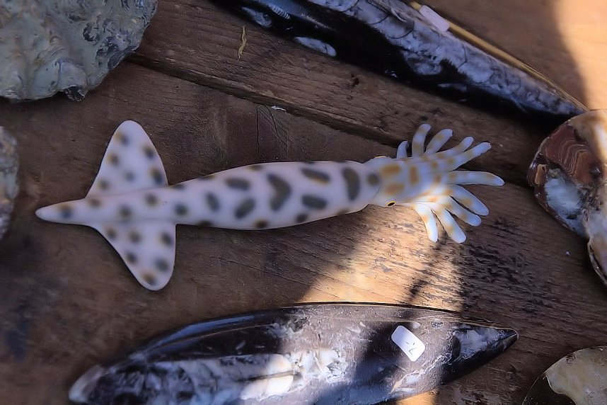 5. Hoffest und Reitturnier in Wollersleben