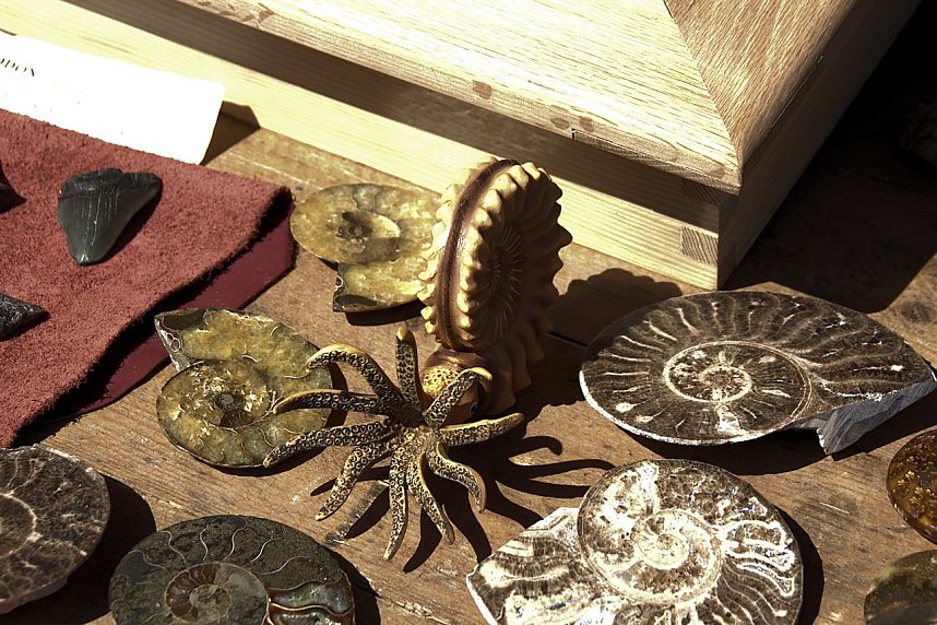 5. Hoffest und Reitturnier in Wollersleben