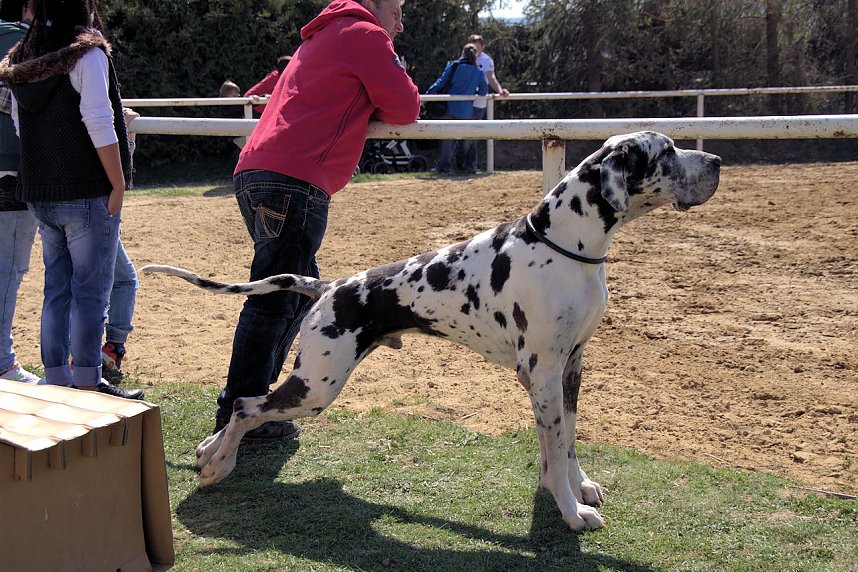 5. Hoffest und Reitturnier in Wollersleben