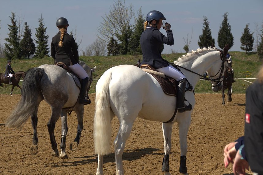 5. Hoffest und Reitturnier in Wollersleben