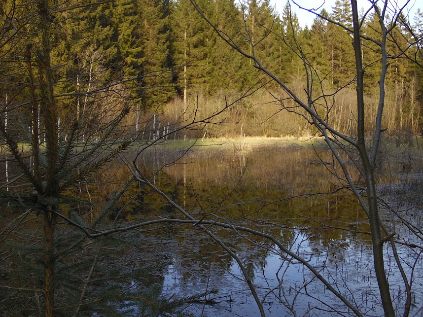 Moore, Hexen und Harz