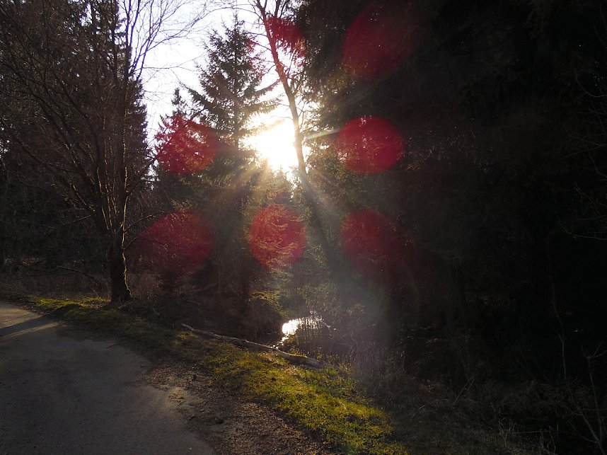 Moore, Hexen und Harz
