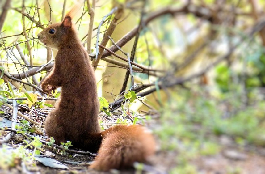 Auf Erkundung an der Stadtmauer