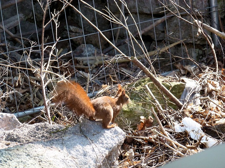 Auf Erkundung an der Stadtmauer