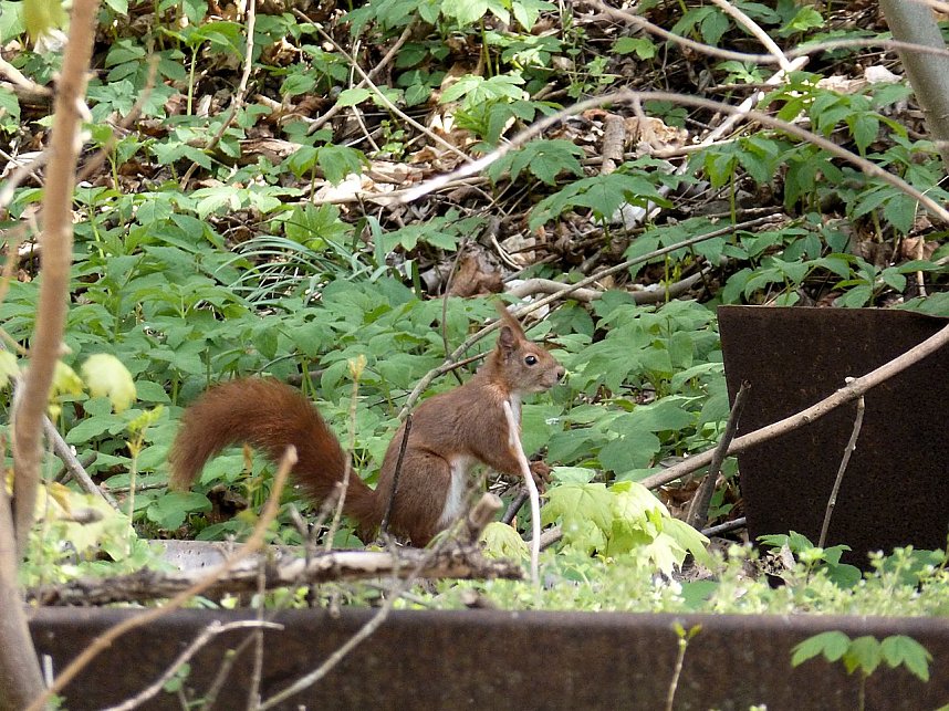 Auf Erkundung an der Stadtmauer
