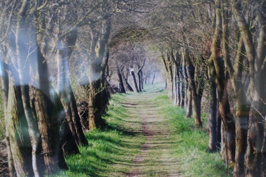 Gr&uuml;nes Abendessen mit Ausstellung im Nordh&auml;user Abgeordnetenb&uuml;ro