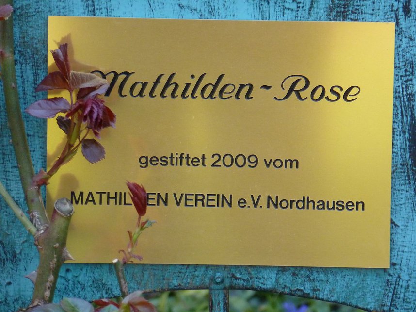 Der Nordh&auml;user Dom