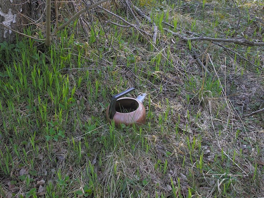 Der Treue Nachbarteich - die h&auml;ssliche Seite