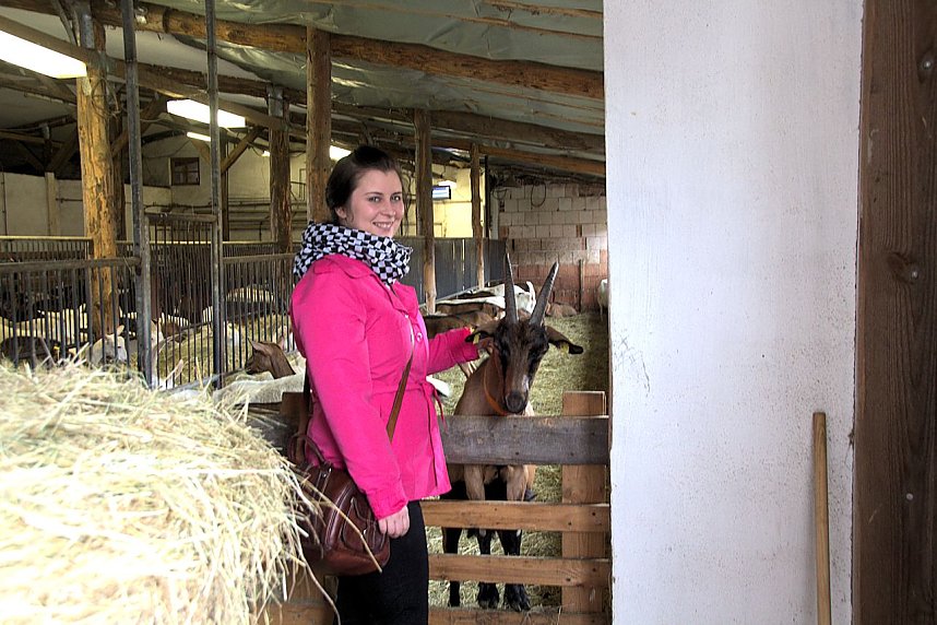 L&auml;mmerfest auf Ziegenalm