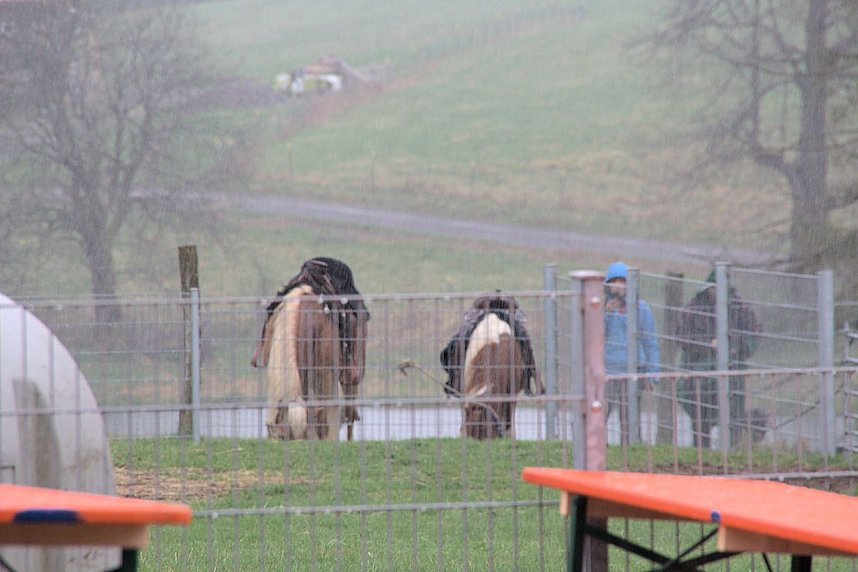 L&auml;mmerfest auf Ziegenalm