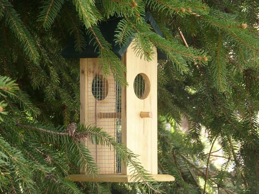 H&auml;user f&uuml;r V&ouml;gel