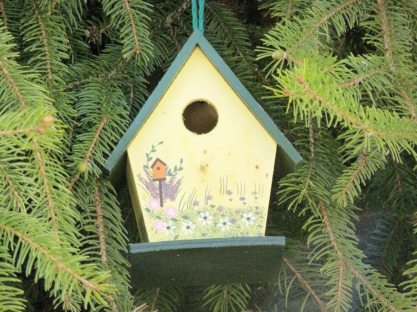 H&auml;user f&uuml;r V&ouml;gel