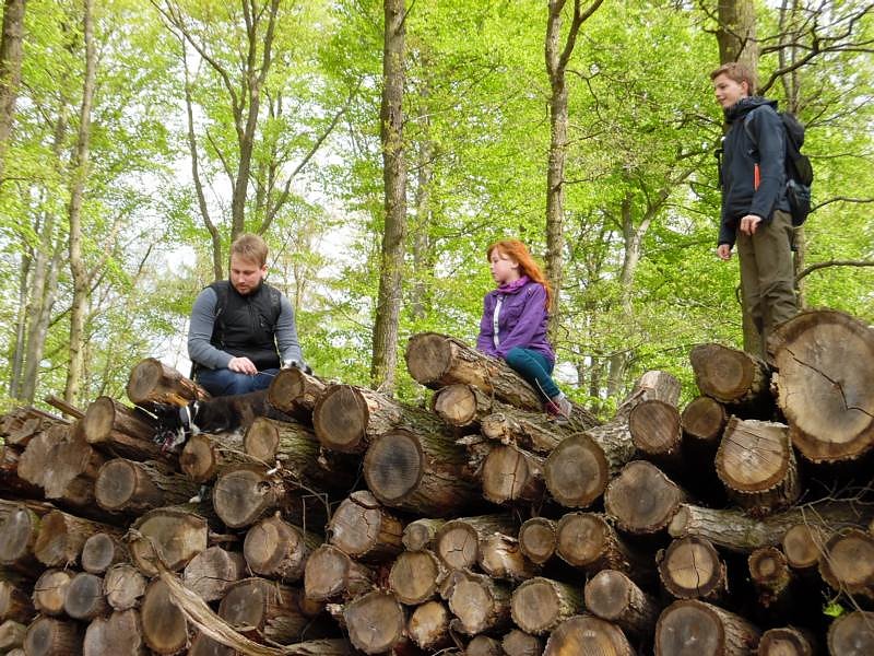 Nordh&auml;user Doppelk&ouml;rner wanderten