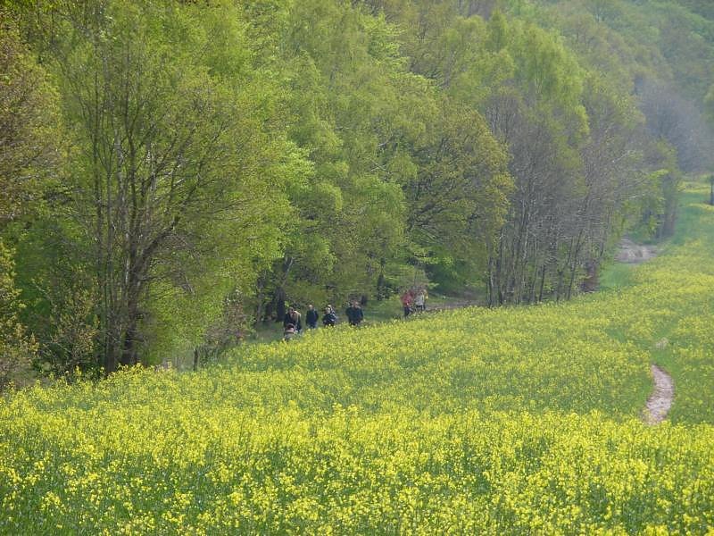 Nordh&auml;user Doppelk&ouml;rner wanderten