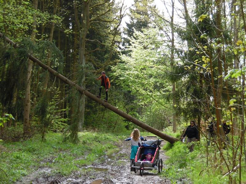 Nordh&auml;user Doppelk&ouml;rner wanderten