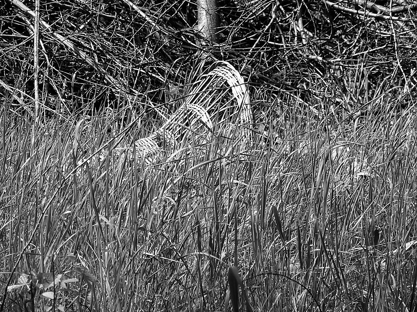 Die dunkle Seite von Nordhausen