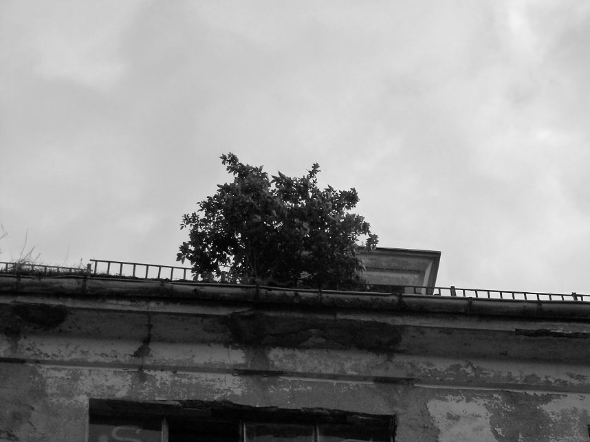 Die dunkle Seite von Nordhausen (Teil 2)