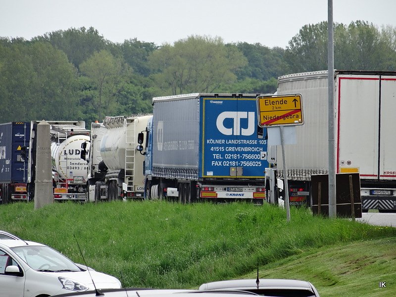 B&auml;rin Conny zieht nach Worbis