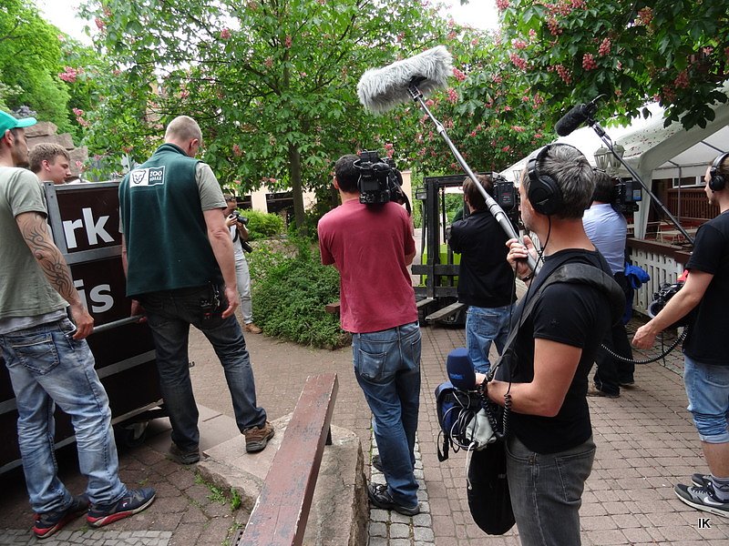 B&auml;rin Conny zieht nach Worbis