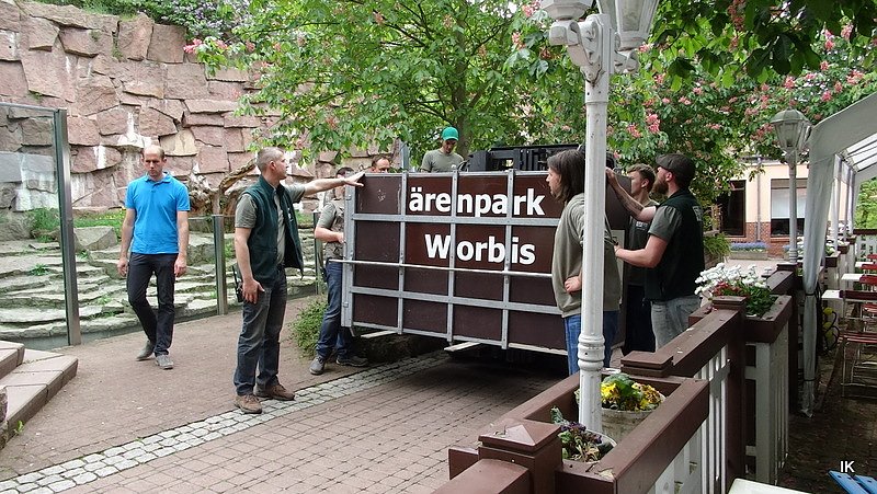 B&auml;rin Conny zieht nach Worbis