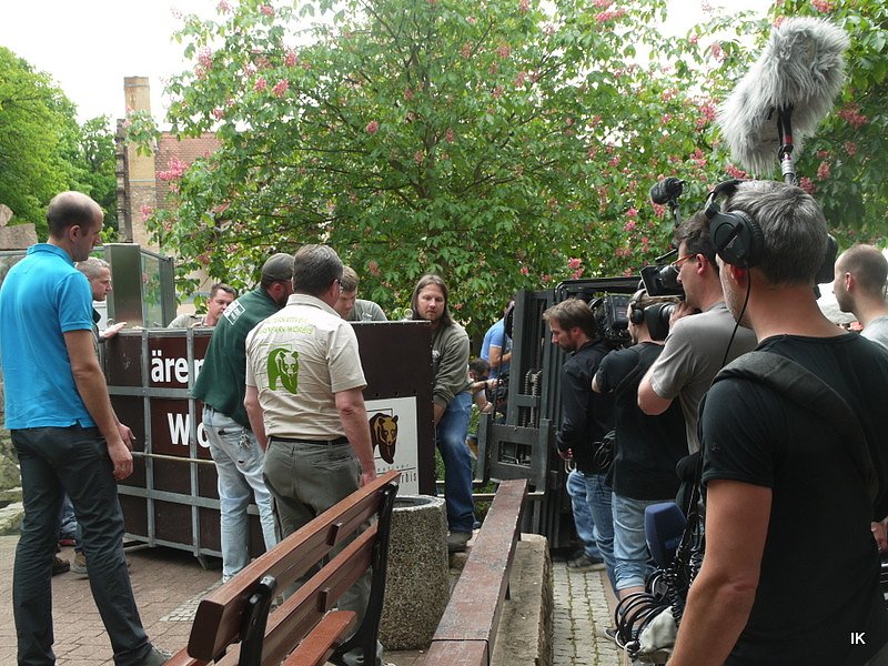 B&auml;rin Conny zieht nach Worbis