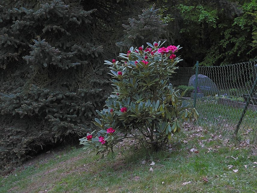 Zu Besuch in Steinsee