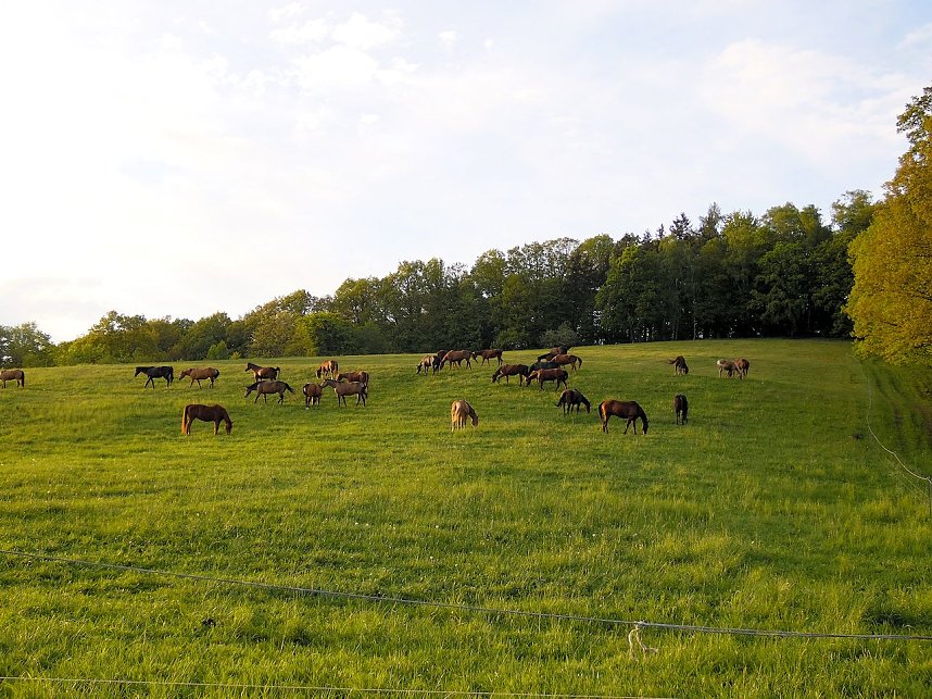 Zu Besuch in Steinsee