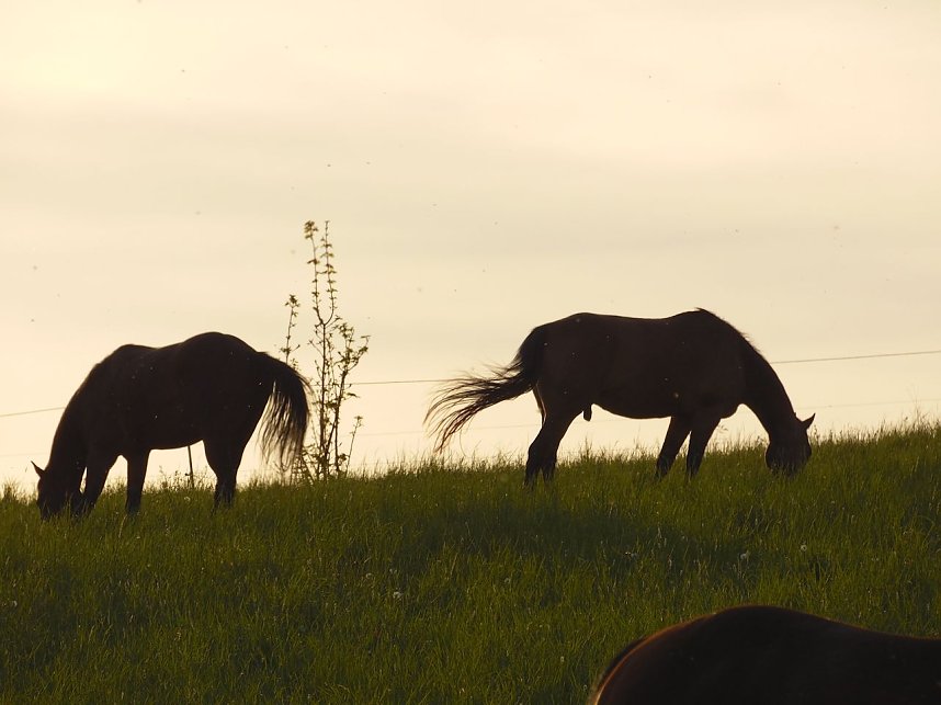 Zu Besuch in Steinsee