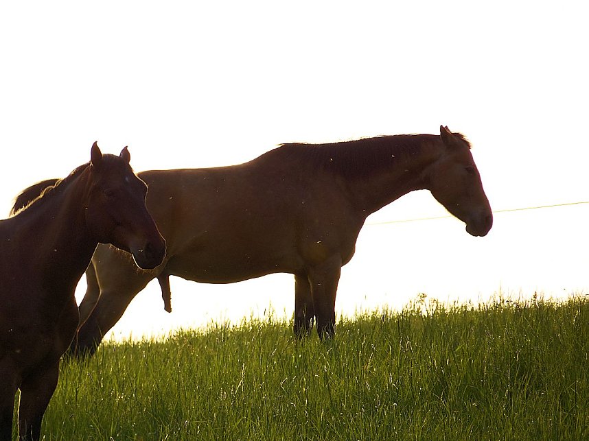 Zu Besuch in Steinsee