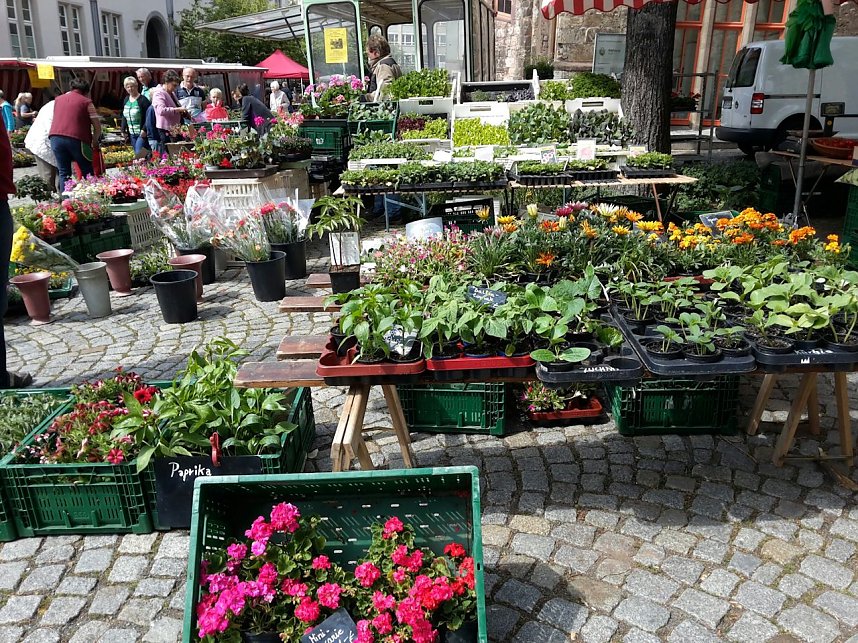 Geranien - und Blumenmarkt auf dem Nordh&auml;user Rathausplatz