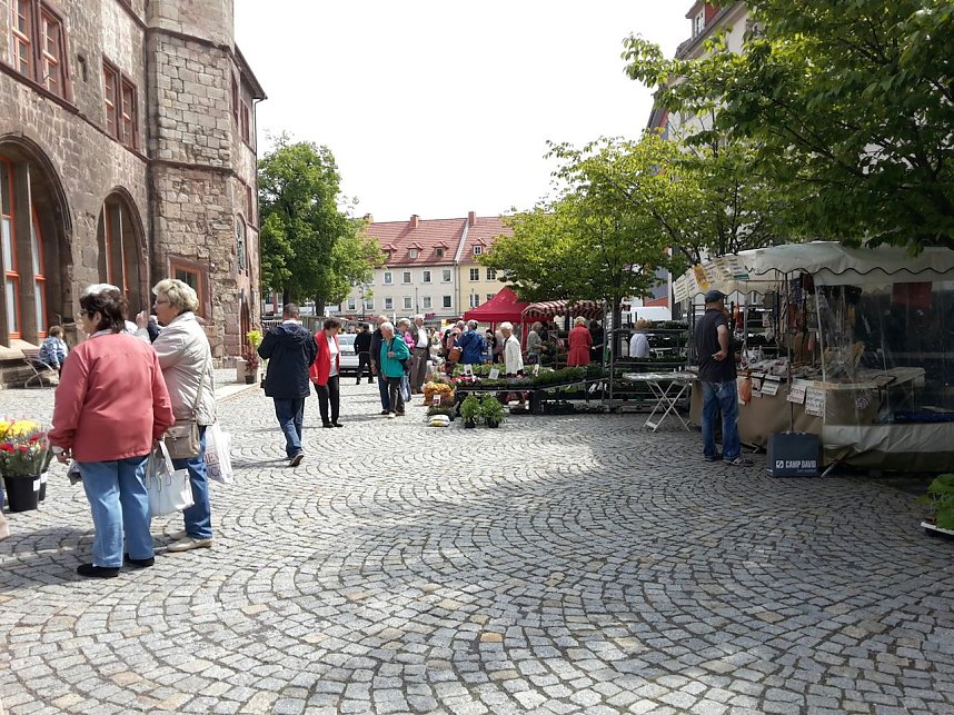 Geranien - und Blumenmarkt auf dem Nordh&auml;user Rathausplatz