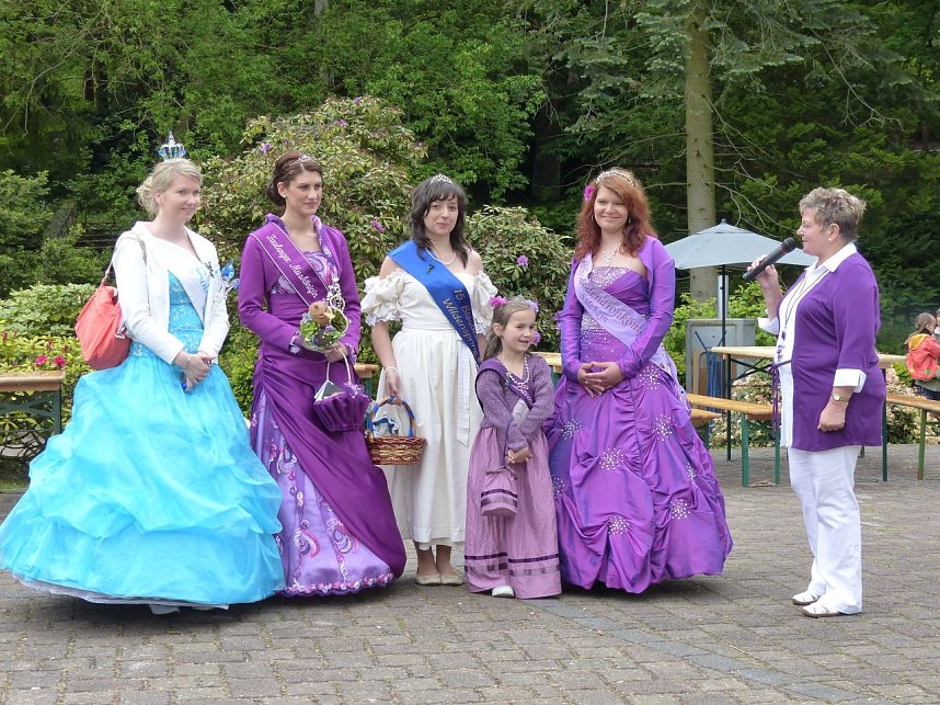 Das Rhododendronfest in S&uuml;lzhayn hat inzwischen gute Tradition