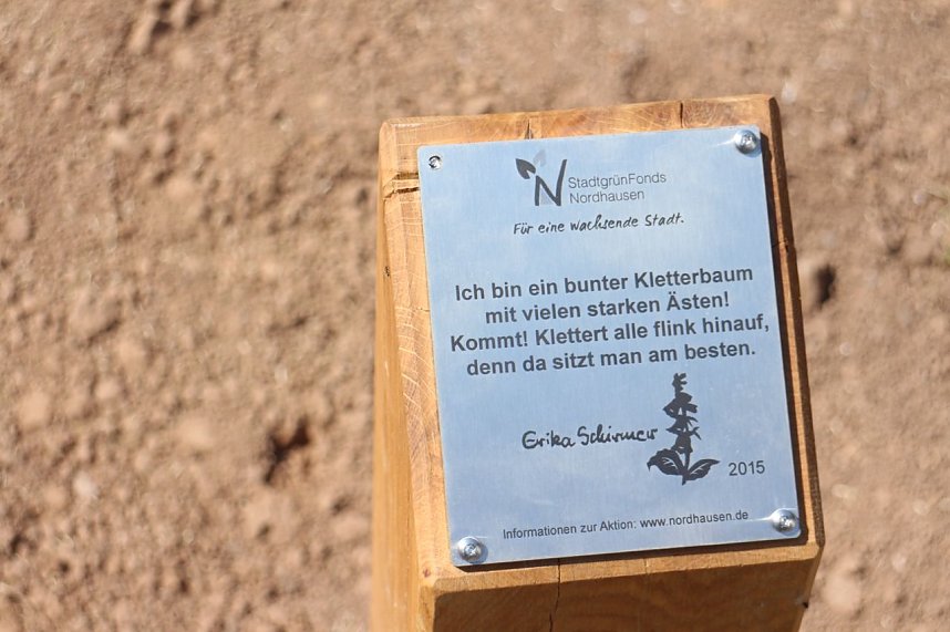 Neuer Kletterbaum in Nordh&auml;user Altstadt freigegeben