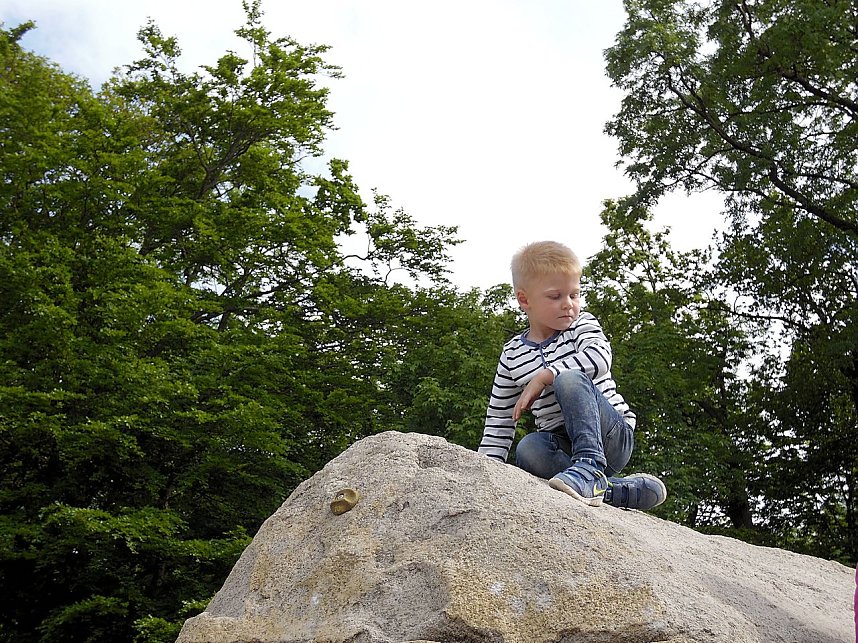 Pfingsten auf der Feuerkuppe