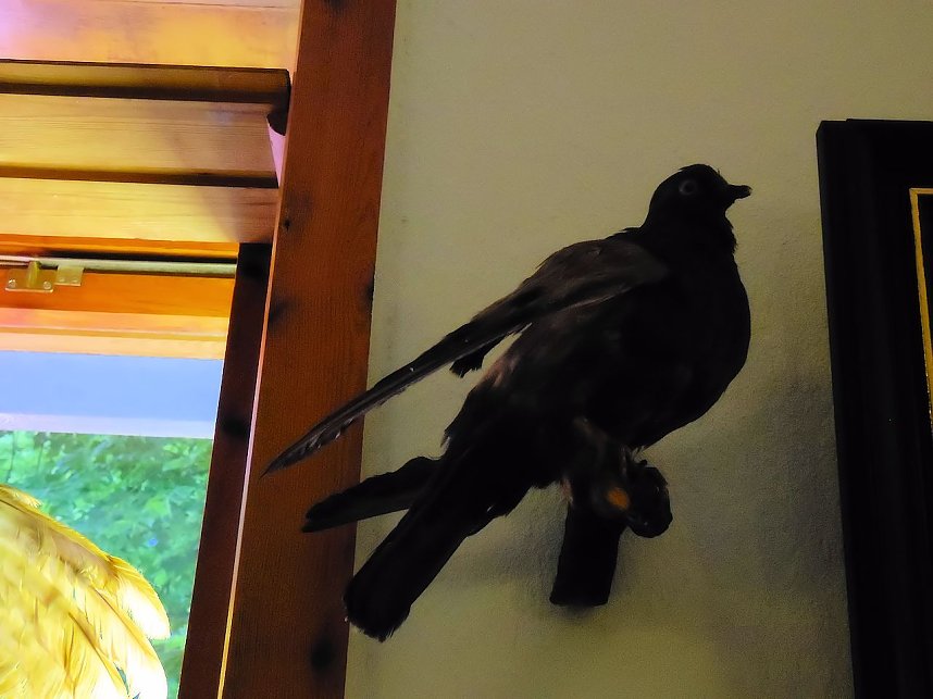 Besuch in der Obergrasm&uuml;hle