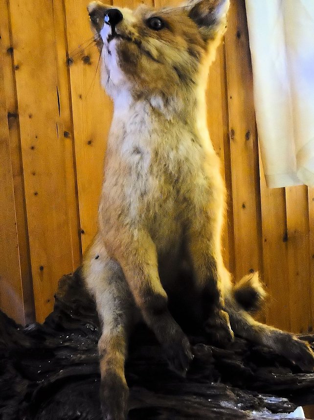 Besuch in der Obergrasm&uuml;hle