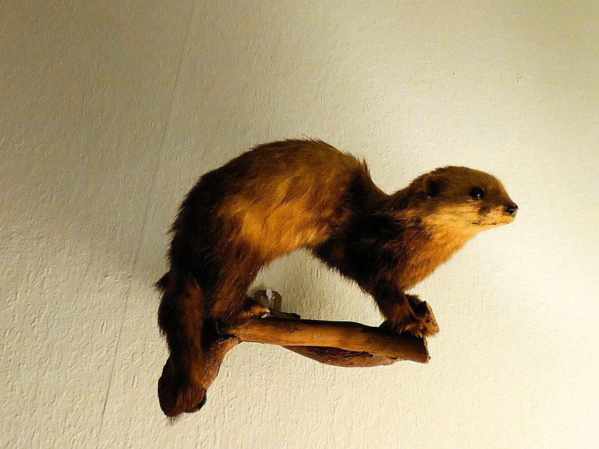 Besuch in der Obergrasm&uuml;hle