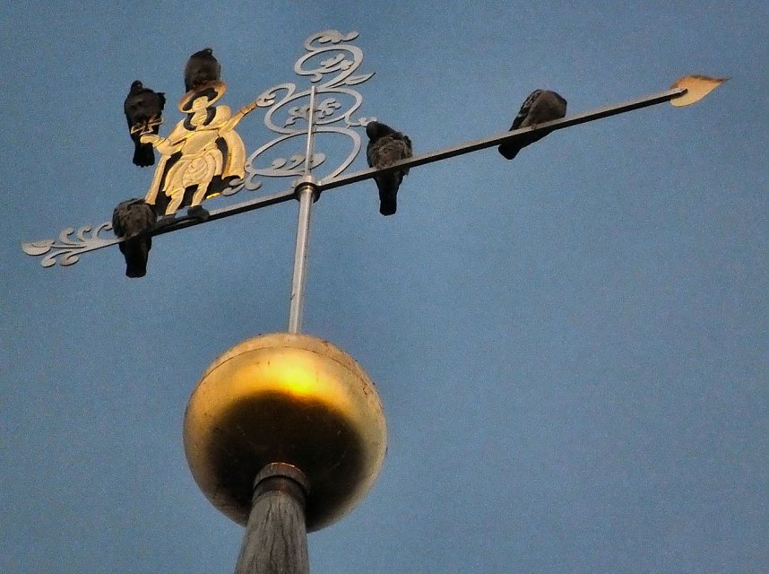 Landeszupforchester feierte 10. Geburtstag