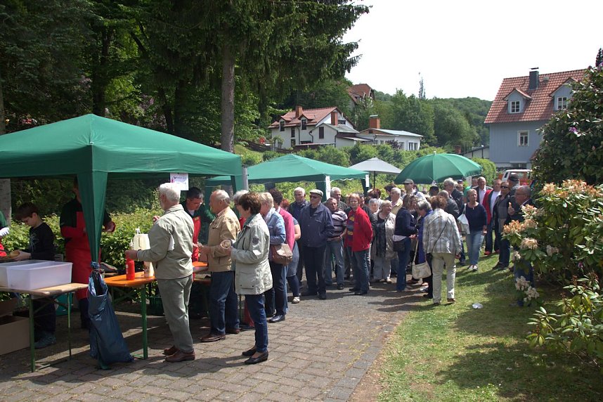 20. Rhododendron-Fest in S&uuml;lzhayn