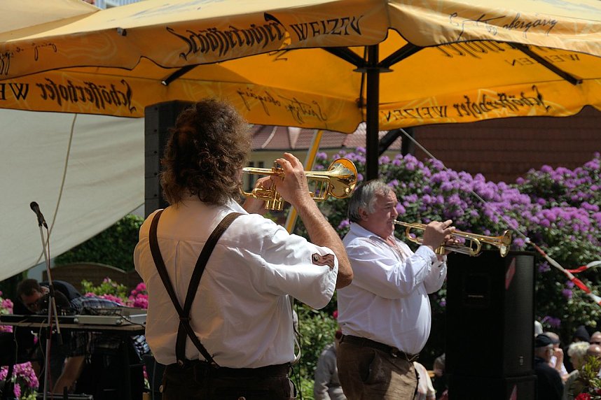 20. Rhododendron-Fest in S&uuml;lzhayn