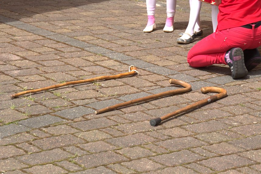 20. Rhododendron-Fest in S&uuml;lzhayn