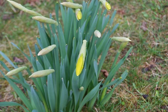 Fr&uuml;hling auf dem Berg
