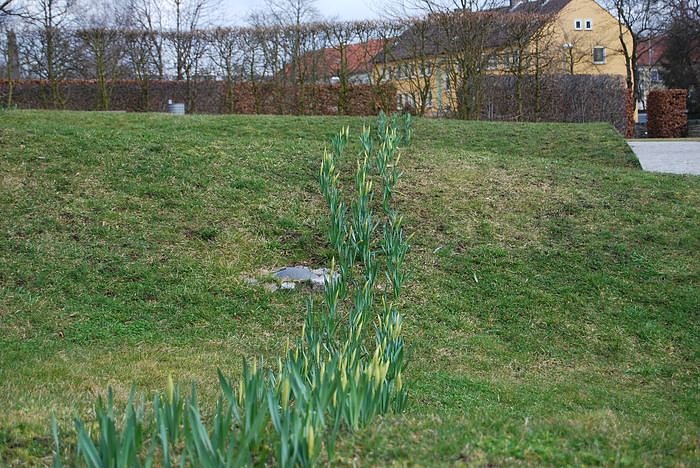 Fr&uuml;hling auf dem Berg
