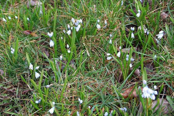 Fr&uuml;hling auf dem Berg